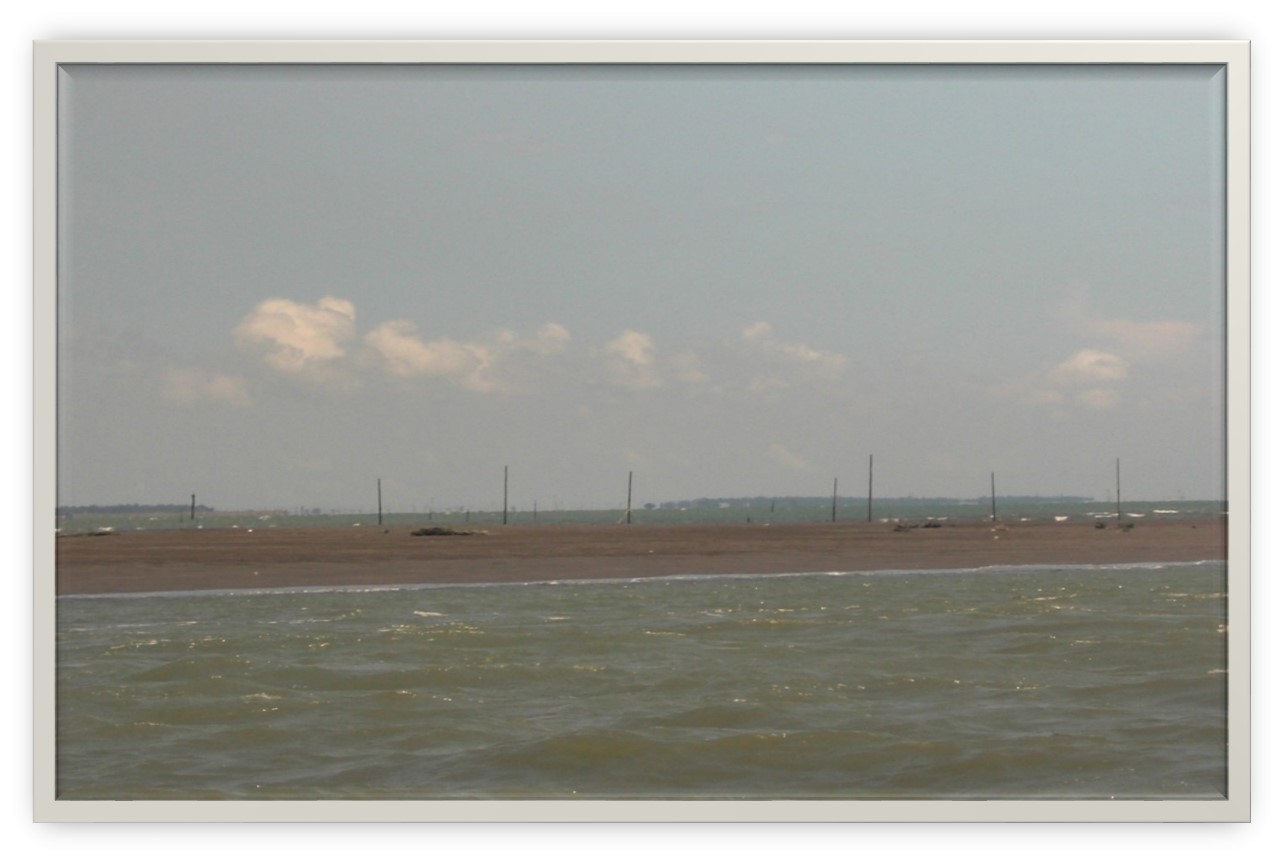 東石外傘頂洲 李侑芝